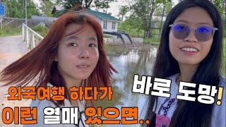 여러분! 외국 여행 중 이런 열매 절대 먹지마세요(배탈설사)