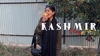 Kashmir Vlog  | Part 1 | Suhana Sherin