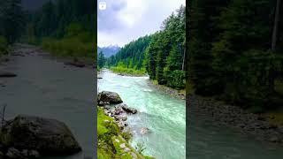 pahalgam vibes #kashmir #trendingshorts #viral #trending #ytshorts #viralvideo #trendingsong