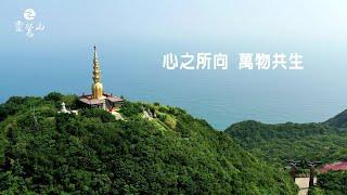 心之所向 萬物共生 - 靈鷲山的靈性之旅