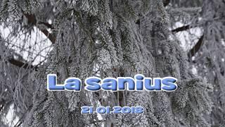 La sanius - 21.01.2018