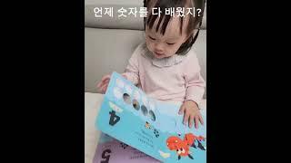 숫자공부 #로지 #28개월