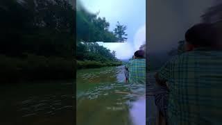 Our Adventure in the Jungles of Laos  #shortvideo #shorts #shortsfeed #youtubeshorts #nature #laos