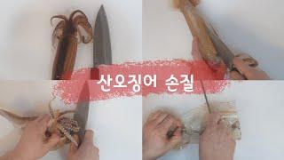 산오징어 손질