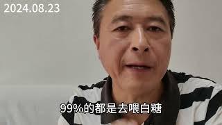 养蜂行业90%的人都在做假蜂蜜，请大家多去谨慎鉴别，以免上当！