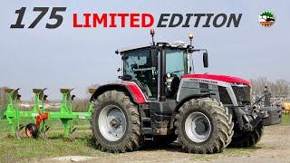 **LIMITED EDITION** Massey Ferguson 8S.305 | Vittone