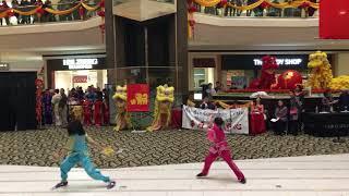 NoVA Wushu Academy -  Lunar New Year 2018 Performance @ Fair Oaks Mall