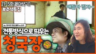 [인간극장 레전드] 추석 특집 #1 | 청국장 대결, 할매 vs 손자(1-5부작) [KBS 170403-170407 방송]