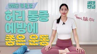 허리 통증 예방에 좋은 운동 중상급자 편! (feat. 힘듦 주의 / 이 영상 한편이면 코어 근력 뚝딱!)