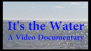 It's the Water, MUSE Web Page Demo