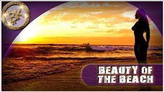 The Power of Water & The Consciousness of Cryptocurrency | Esoteric Energy of Crypto market cap