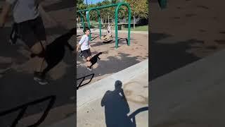 Crazy TALENTED parkour kid does HUGE Jump