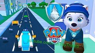 PAW Patrol: A Day in Adventure Bay - Everest #1