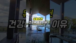 유황온천 건강에 좋은이유 #해독 #디톡스 #피부건강 #관절통 #류마티스
