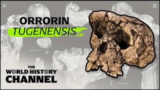 The Oldest Human Remains Ever Discovered | Search For The First Human | The World History Channel