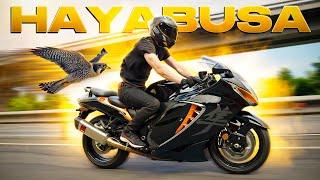 Suzuki Hayabusa | Самый быстрый в мире ?