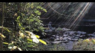 Fly Fishing on the River Ayr with Davie McPhail