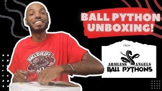 Ball Python Unboxing from Armless Angels #Unboxing