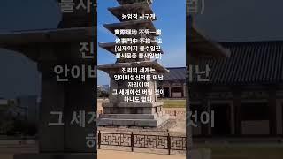 능엄경 사구게   #shorts #불교
