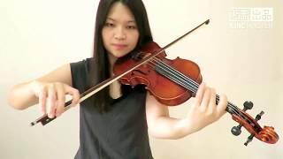 ZAYN - Dusk Till Dawn ft. Sia(Violin Cover)