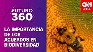 La importancia de los acuerdos en biodiversidad | Futuro 360, capítulo 301