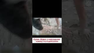  Перші хвилини після ракетного удару по Сумах! Відео з камер Поліції