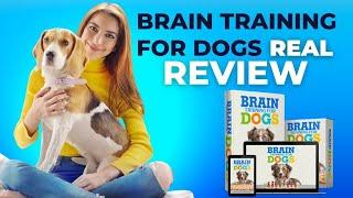 Brain Training for Dogs Review 2022 - Does Brain Training for Dogs Really Work?