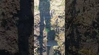 Гайд" Как копать картошку"