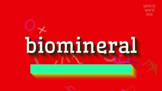 How to say "biomineral"! (High Quality Voices)