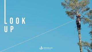 Look Up | A Film About Irish Arboriculture | DFG.IE | Arborists | Tree Surgeons