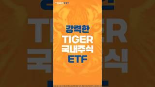 국장이 강력하게 다시 돌아왔다! #TIGER 국내주식 ETF #TIGER 지주회사 #TIGER 코리아배당다우존스