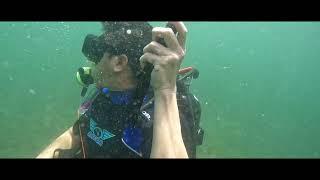 Scuba diving at west palm beach September 2022