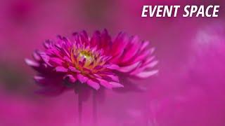 How to Be Creative in Your Flower Photography | B&H Event Space