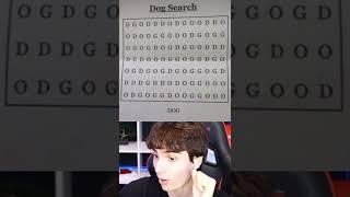 FIND "DOG" WORD SEARCH.. #Shorts