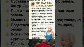 ЗОЛОТАЯ ЕДА ДЛЯ ПОЖИЛЫХ — ПИТАНИЕ ДЛЯ КАЖДОГО ОРГАНА