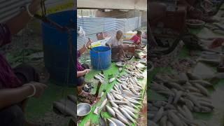 FISH MARKET IN NEPAL#shorts #nambindb full video link