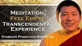 Kyabgon Phakchok Rinpoche, Meditation   Feel Empty Transcendental Journey , DEEP DIVING