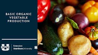 Basic Organic Vegetable Production