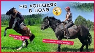 Чуть не СКИНУЛА ЛОШАДЬ В ПОЛЕ !? / ВЛОГ с Майзаса