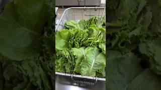 회사저녁 제육 폼 미쳐따