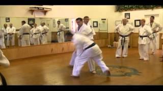 Shihan Allen Hartman Heian Waza from Goshindo