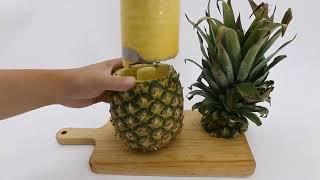 Newness Pineapple Corer ONLY $9.58