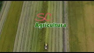 Polpa congelada ganha mercado com registro no MAPA #SCAgricultura