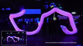 Crocodile World Hong Kong "Luminous Dragon Dance" Championship 2016 - Malaysia Team (Right Cam)