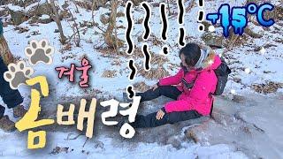 설악산 설경 보러 갔다가 먼저 바닥부터 본 사연은? 천상의 설원 곰배령️겨울 모습을 공개 합니다 │곰배령 등산코스│강원도 가볼만한 산│강원도여행│등산초보 #살곰살곰 #산적부부