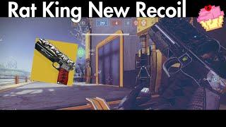 Rat King got a new recoil pattern | Final Shape