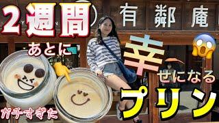 【逆に怖い】倉敷名物のしあわせプリンを食べたら2週間後、本当に幸せになった【確実かよ】