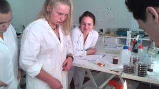 Laboratory trainees during their vocational training II