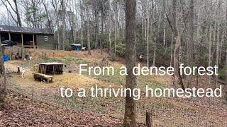 We started over | Building an off grid homestead | One year progress