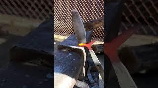 Learn how to make this ancient tool #blacksmith #anvil #forged #forging #shorts #blacksmithing